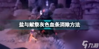 盐与献祭灰色血条怎么消盐与献祭灰色血条消除方法