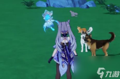 原神宠物有哪些？