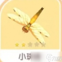 心动小镇手游小斑晴刷新在哪里介绍