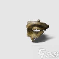 《黑神话悟空》全材料用途与获取方法 全材料图鉴