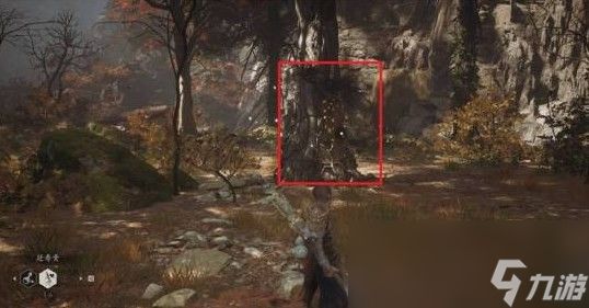 《黑神话:悟空》落伽香藤在哪里买