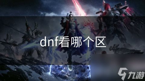 dnf看哪个区