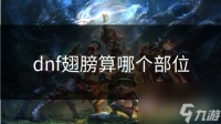 dnf翅膀算哪个部位