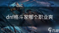 dnf格斗家哪个职业爽