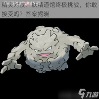 精灵对战 妖精道馆终极挑战，你敢接受吗 答案揭晓