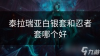 泰拉瑞亚白银套和忍者套哪个好