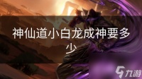 神仙道小白龙成神要多少