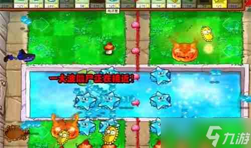 PVZ杂交版益智模式植物僵尸过关攻略