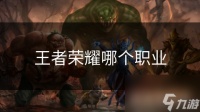 王者荣耀哪个职业