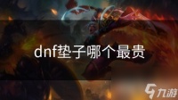 dnf垫子哪个最贵