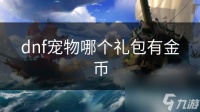 dnf宠物哪个礼包有金币