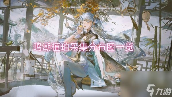 鸣潮植珀采集分布图一览
