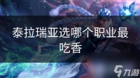 泰拉瑞亚选哪个职业最吃香