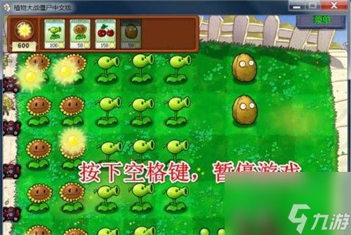 植物大战僵尸指令怎么输