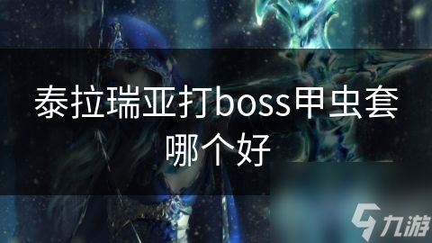 泰拉瑞亚打boss甲虫套哪个好