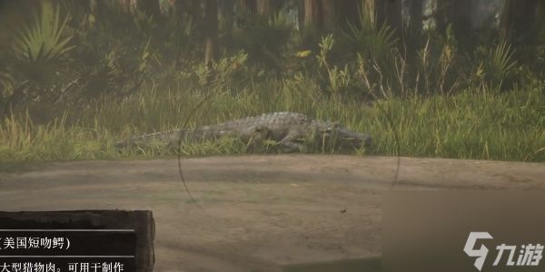 荒野大镖客2鳄鱼皮怎么完美获得
