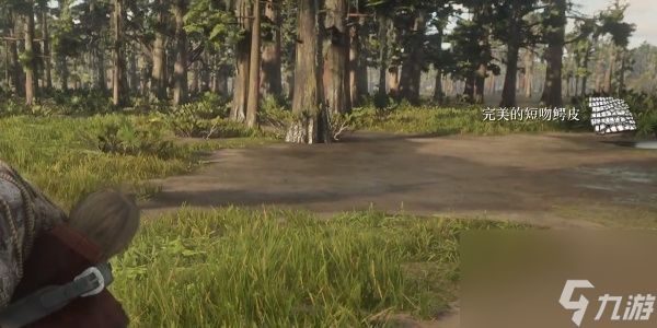 荒野大镖客2鳄鱼皮怎么完美获得