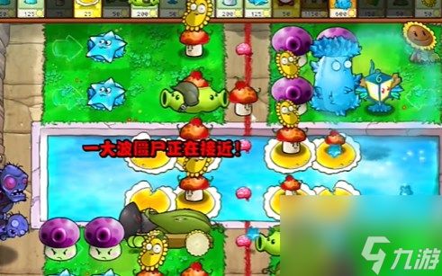 《PVZ杂交版》益智模式过关斩僵通关流程分享