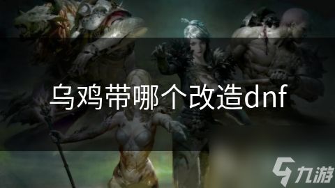 乌鸡带哪个改造dnf