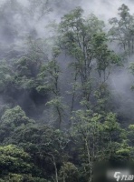 游戏源于现实 浓雾笼罩哀牢山如现实版《寂静岭》