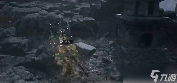 黑神话悟空碧藕种子怎么获得 碧藕种子获取方法