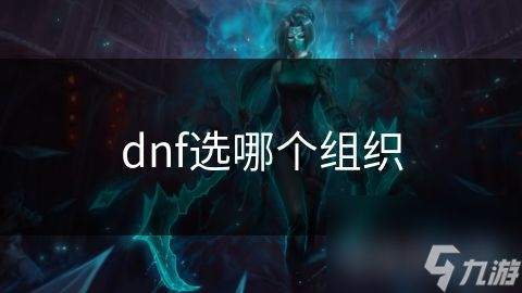 dnf选哪个组织