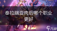 泰拉瑞亚肉后哪个职业更好