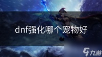 dnf强化哪个宠物好