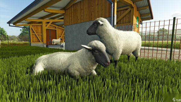 《Farming Simulator 25》最新资讯公开：现已发布新农作物大米和豌豆的宣传片！