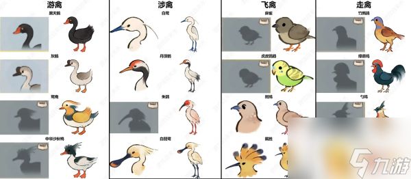 桃源深处有人家鸟类辨认有那些方法 桃源深处有人家鸟类辨认技巧图解