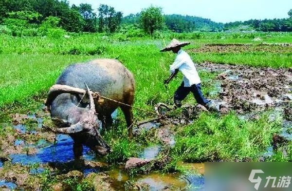 《种地勇者》沙漠石碑解密攻略：揭开隐藏任务的神秘面纱