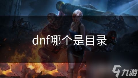 dnf哪个是目录