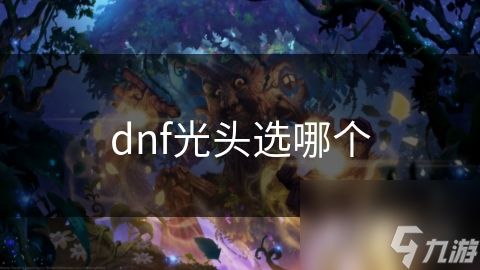 dnf光头选哪个