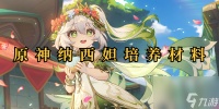 原神纳西妲培养材料