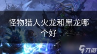怪物猎人火龙和黑龙哪个好