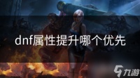 dnf属性提升哪个优先