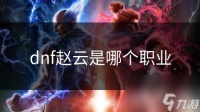 dnf赵云是哪个职业