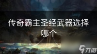 传奇霸主圣经武器选择哪个