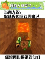 《我的世界》是趣图吗？摄像头拆一下！