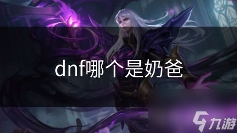 dnf哪个是奶爸