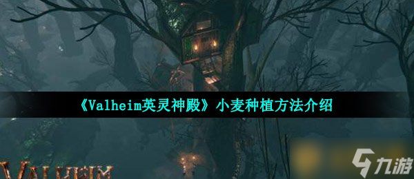 《Valheim英灵神殿》小麦种植方法介绍