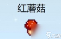 星露谷红蘑菇怎么获取