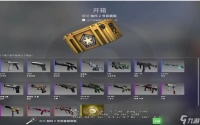 csgo开什么箱子性价比高