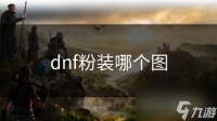 dnf粉装哪个图