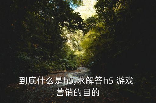 到底什么是h5,求解答h5 游戏 营销的目的