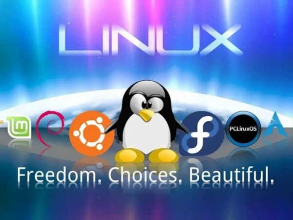 Linux系统入门教程