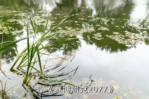 1. 《赛博朋克2077》