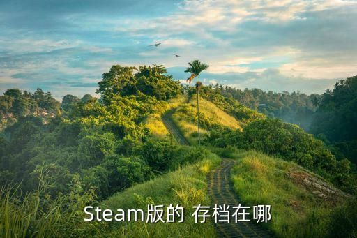 Steam版的 存档在哪