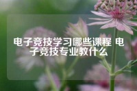 电子竞技学习哪些课程 电子竞技专业教什么