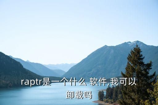 raptr是一个什么 软件,我可以卸载吗